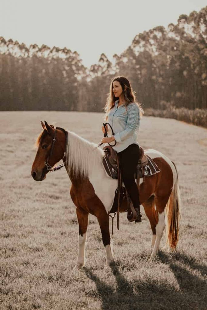 競馬が女性にも人気の理由