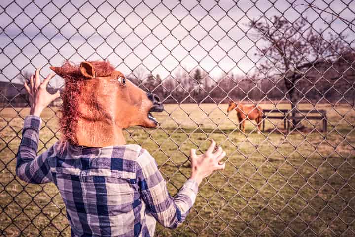 競馬