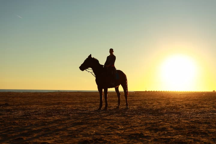 競馬