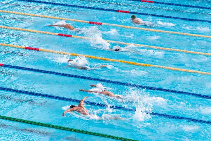 スポーツ賭博系